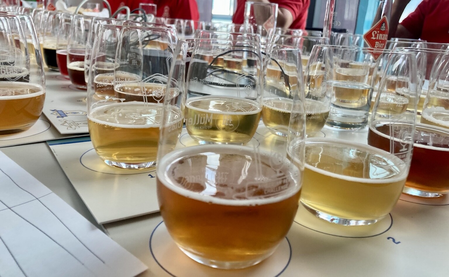 Zahlreiche Bierproben bei einer professionellen sensorischen Bierverkostung
